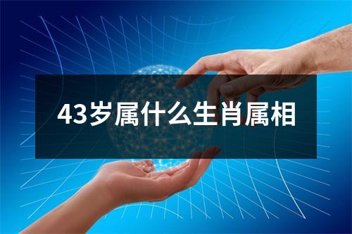 43岁属什么生肖属相