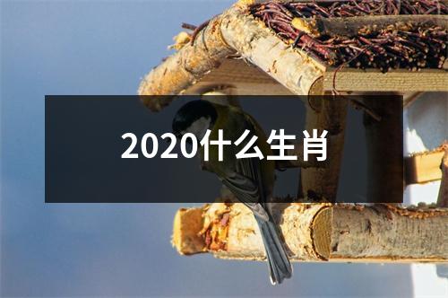 2020什么生肖