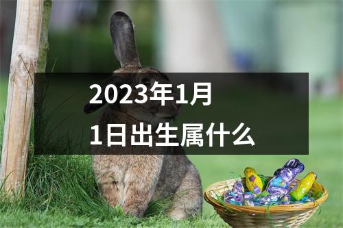 2023年1月1日出生属什么