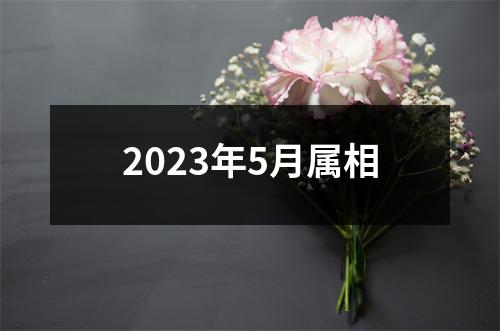 2023年5月属相