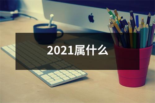 2021属什么