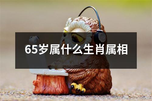 65岁属什么生肖属相