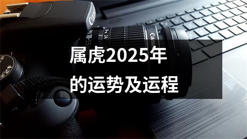 属虎2025年的运势及运程