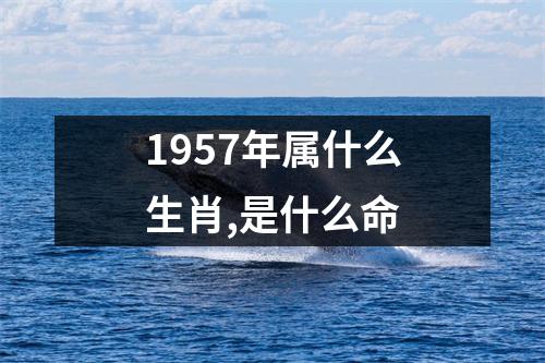 1957年属什么生肖,是什么命