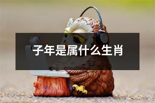 子年是属什么生肖