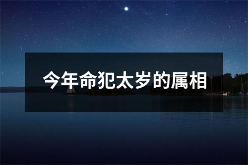 今年命犯太岁的属相