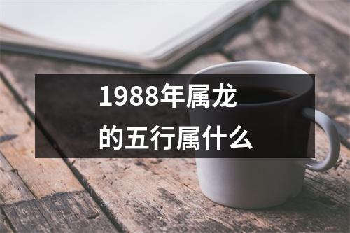 1988年属龙的五行属什么