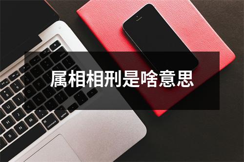 属相相刑是啥意思