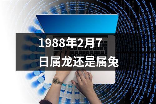 1988年2月7日属龙还是属兔