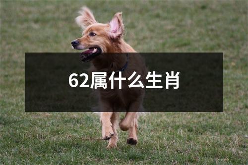 62属什么生肖