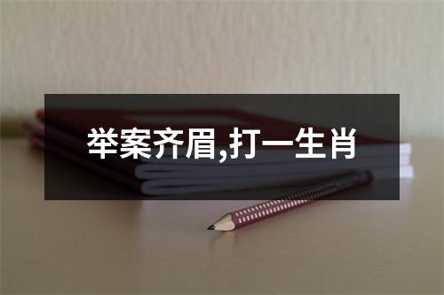 举案齐眉,打一生肖