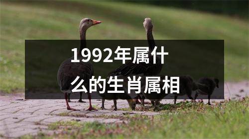 1992年属什么的生肖属相