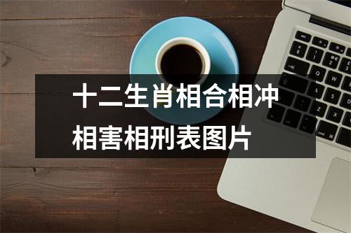 十二生肖相合相冲相害相刑表图片