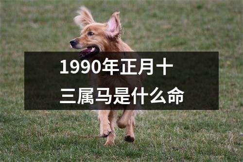 1990年正月十三属马是什么命