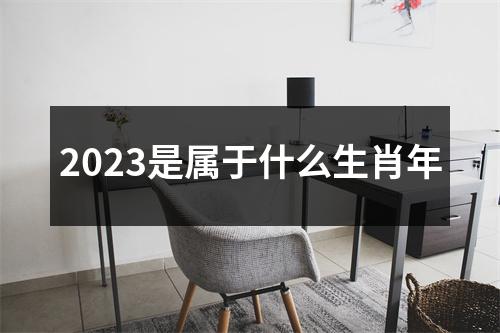 2023是属于什么生肖年