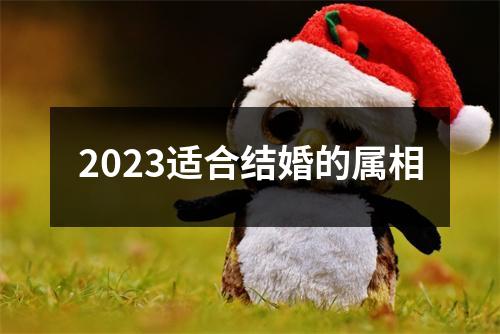 2023适合结婚的属相