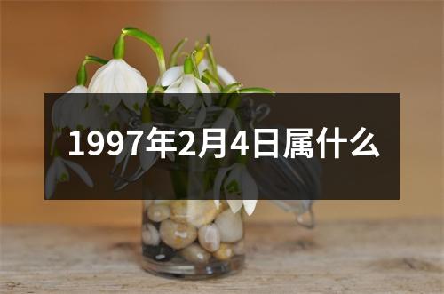 1997年2月4日属什么