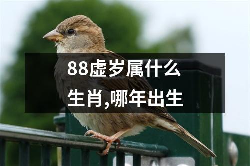 88虚岁属什么生肖,哪年出生