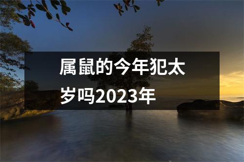 属鼠的今年犯太岁吗2023年