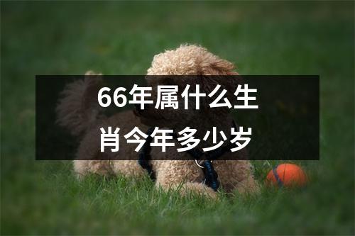 66年属什么生肖今年多少岁