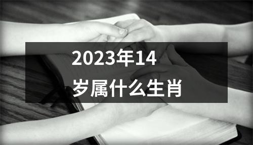 2023年14岁属什么生肖