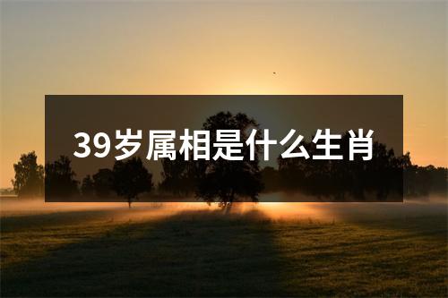 39岁属相是什么生肖