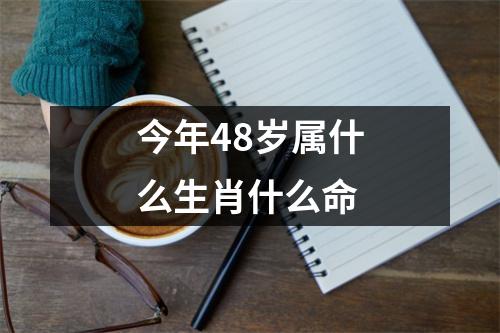 今年48岁属什么生肖什么命