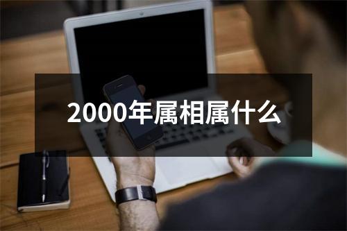 2000年属相属什么