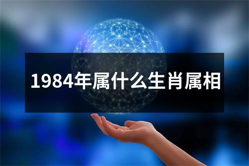 1984年属什么生肖属相