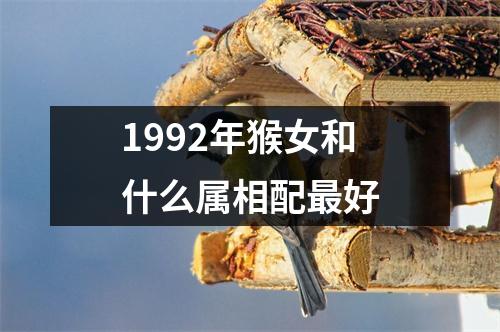 1992年猴女和什么属相配最好