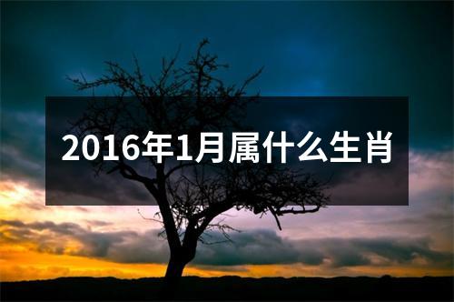 2016年1月属什么生肖