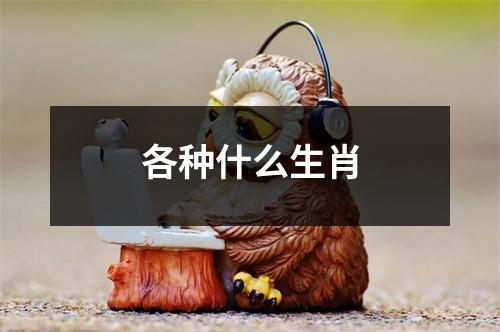 各种什么生肖