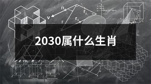 2030属什么生肖