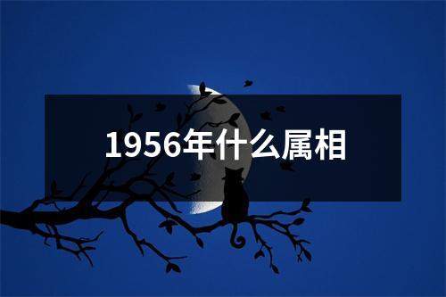 1956年什么属相