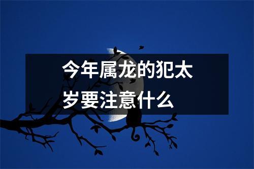 今年属龙的犯太岁要注意什么