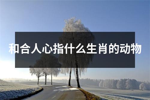 和合人心指什么生肖的动物