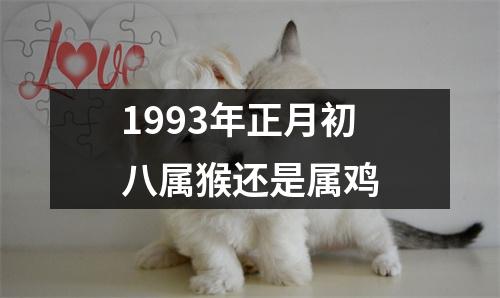 1993年正月初八属猴还是属鸡