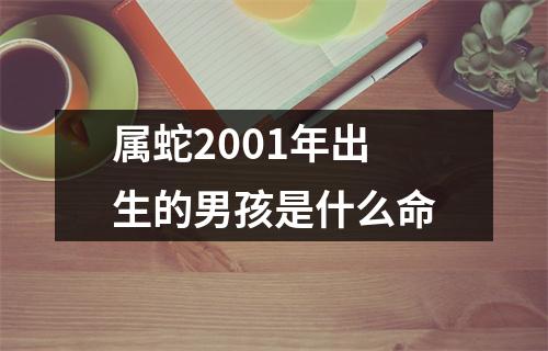 属蛇2001年出生的男孩是什么命