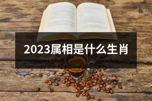 2023属相是什么生肖