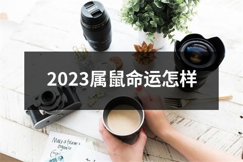 2023属鼠命运怎样