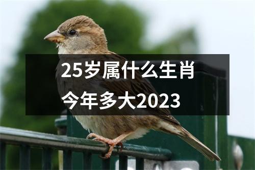 25岁属什么生肖今年多大2023