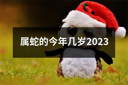 属蛇的今年几岁2023