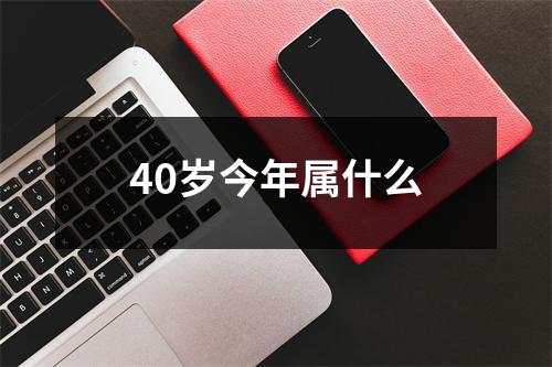 40岁今年属什么