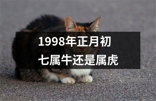 1998年正月初七属牛还是属虎