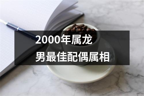 2000年属龙男最佳配偶属相