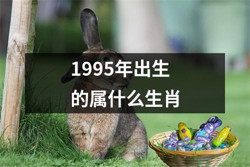 1995年出生的属什么生肖