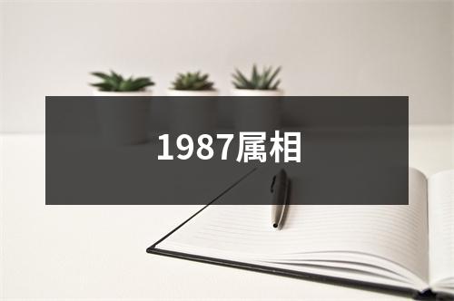 1987属相