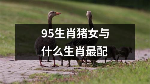 95生肖猪女与什么生肖最配