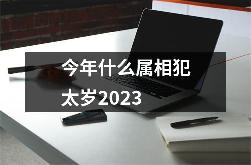 今年什么属相犯太岁2023