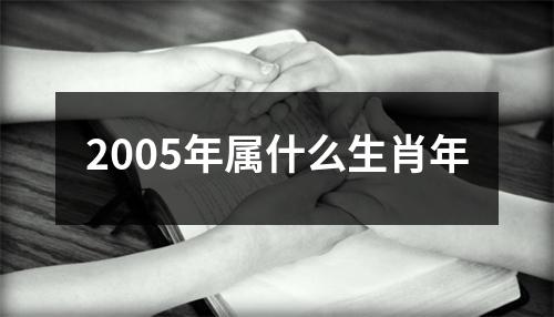 2005年属什么生肖年